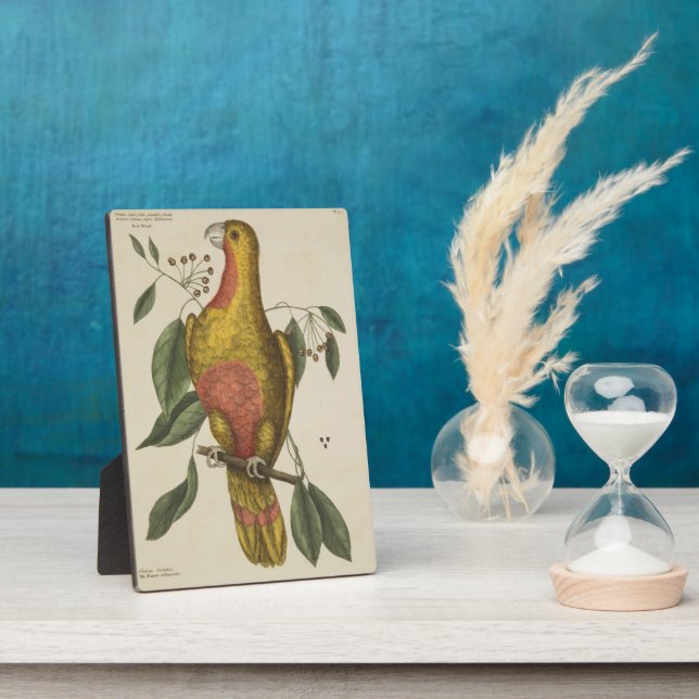 "The Parrot of Paradise" Plaque (Side)