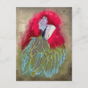 The Parrot - Postcard