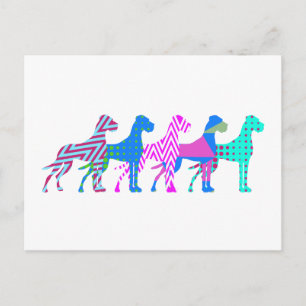 The Pat Great Dane Postcard