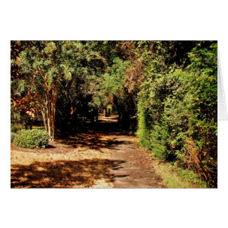 The Path