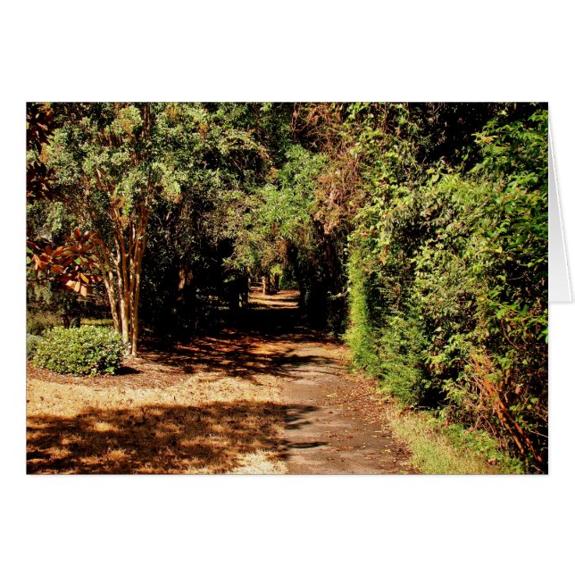 The Path (Front Horizontal)