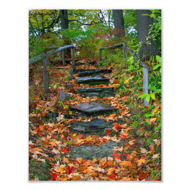 The Path Photo Print (Front)