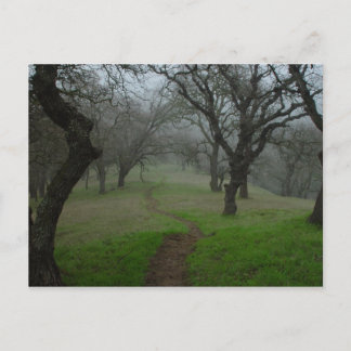 The Path Postcard