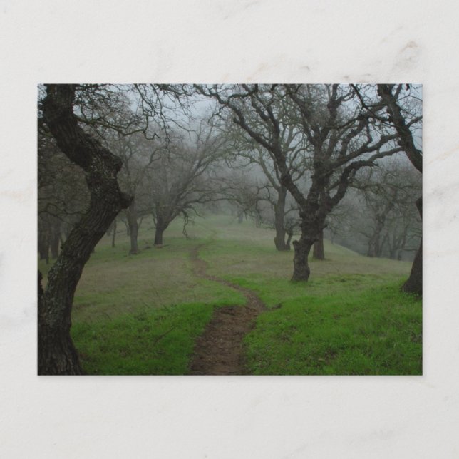 The Path Postcard (Front)