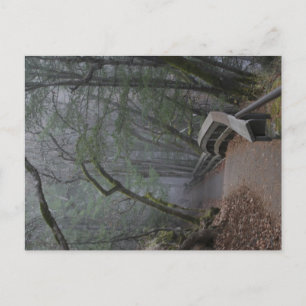 The Path Postcard