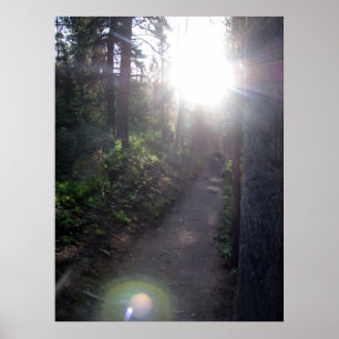 The Path Poster