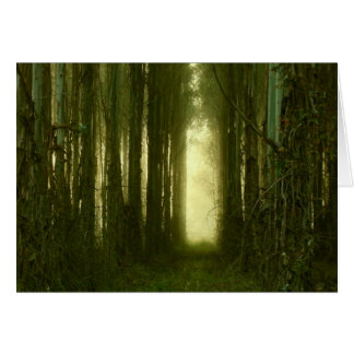 The Path to My Heart