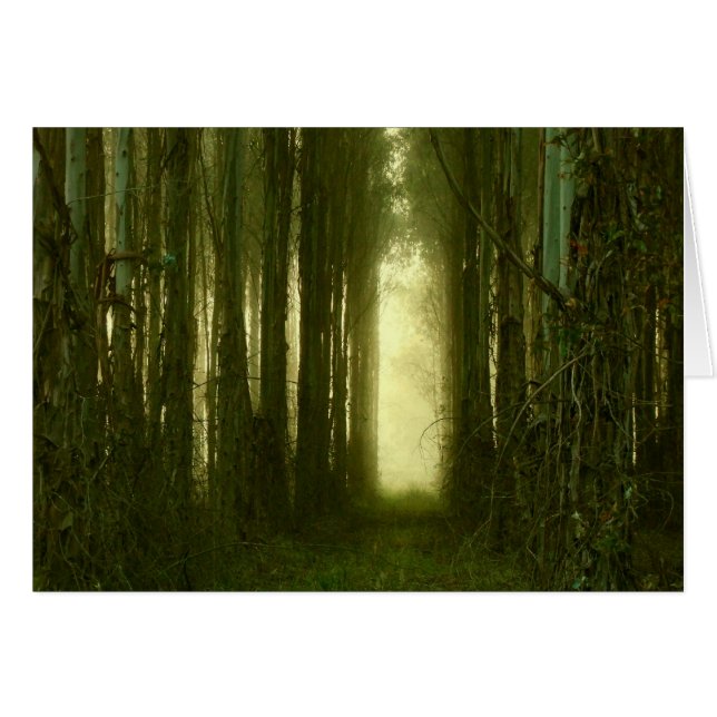 The Path to My Heart (Front Horizontal)