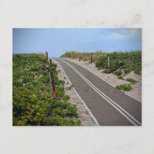 The Path to the Sea: A Quiet Beach Access Postcard