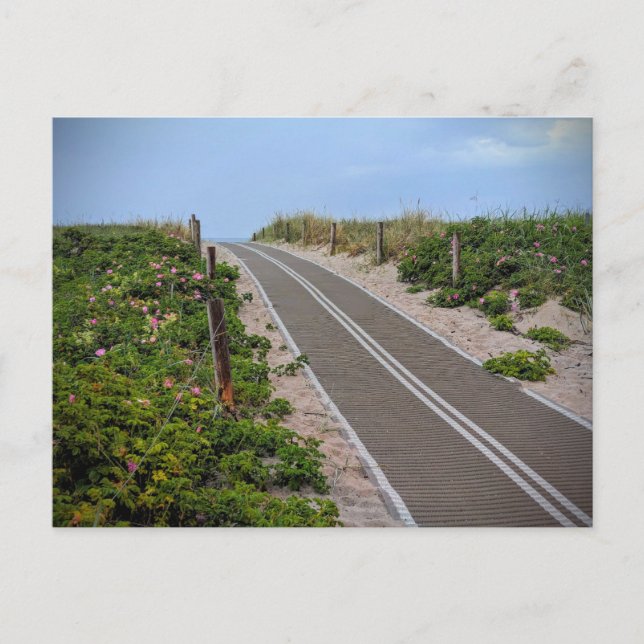 The Path to the Sea: A Quiet Beach Access Postcard (Front)