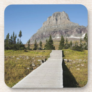 The pathway to the view of Hidden Lake Coaster