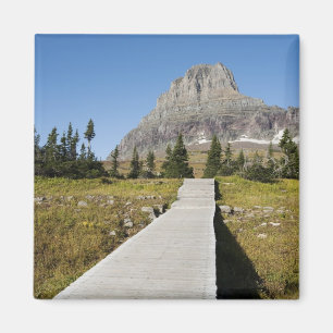 The pathway to the view of Hidden Lake Magnet