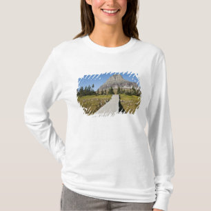 The pathway to the view of Hidden Lake T-Shirt
