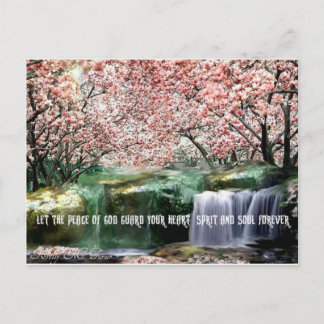 The Peace Cherry Blossom Postcard