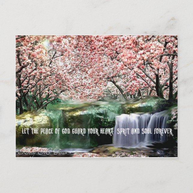 The Peace Cherry Blossom Postcard (Front)