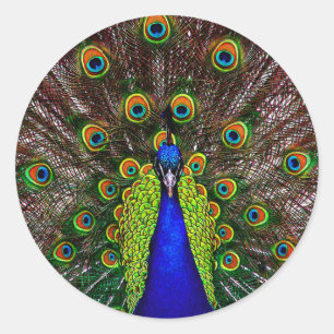 The Peacock Classic Round Sticker