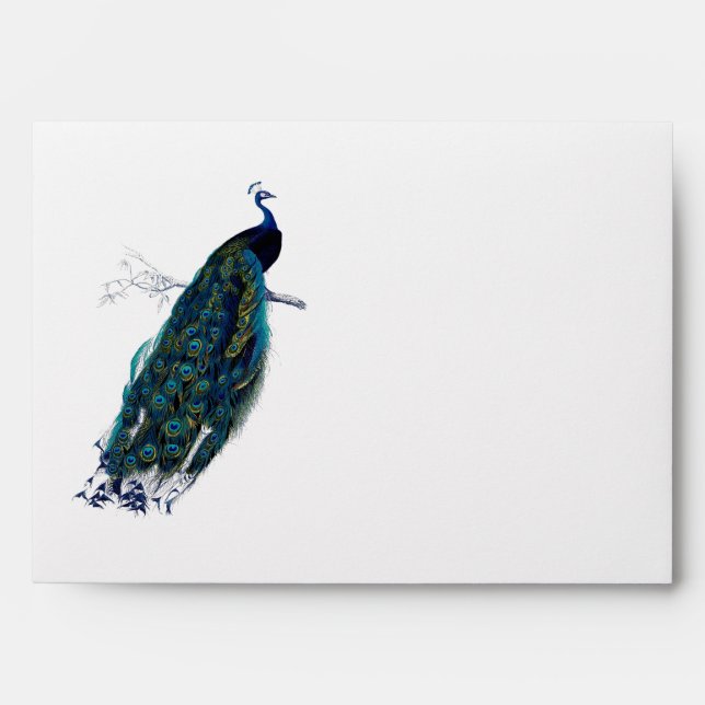 The Peacock Collection Envelopes (Front)