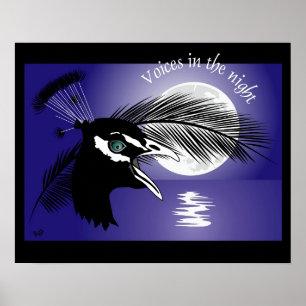 The peacock's votes at night poster