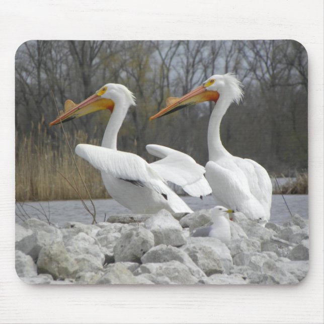 The Pelican Beak Mouse Pad (Front)