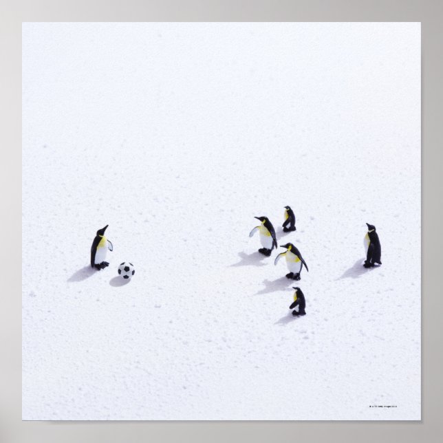 The penguins playing soccer poster (Front)