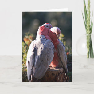 The Perfect Day - Valentine Holiday Card