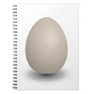 the perfect egg notebook