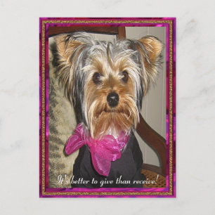 The Perfect Gift Postcard