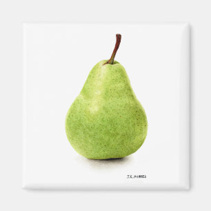 The Perfect Pear Magnet