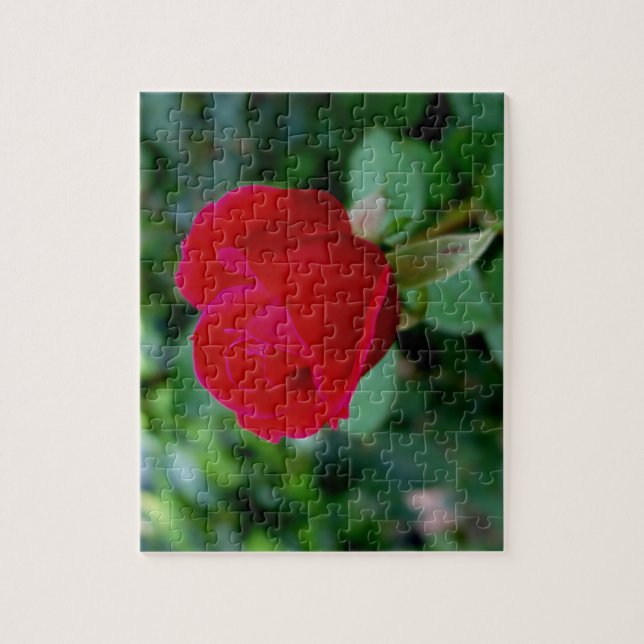 The Perfect Rose Puzzle (Vertical)