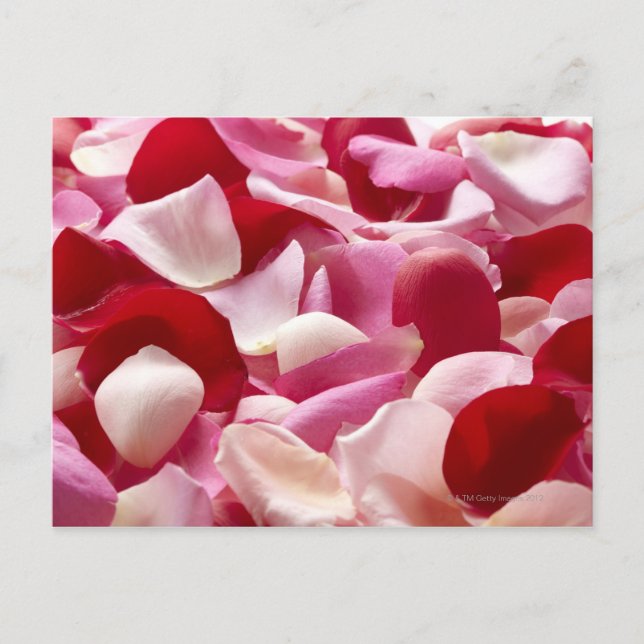 The petal which was spread postcard (Front)