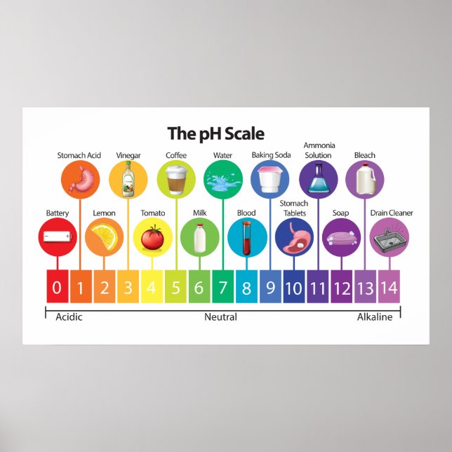 The pH Scale Poster (Front)
