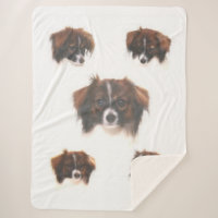 The PHALENE PAPILLON