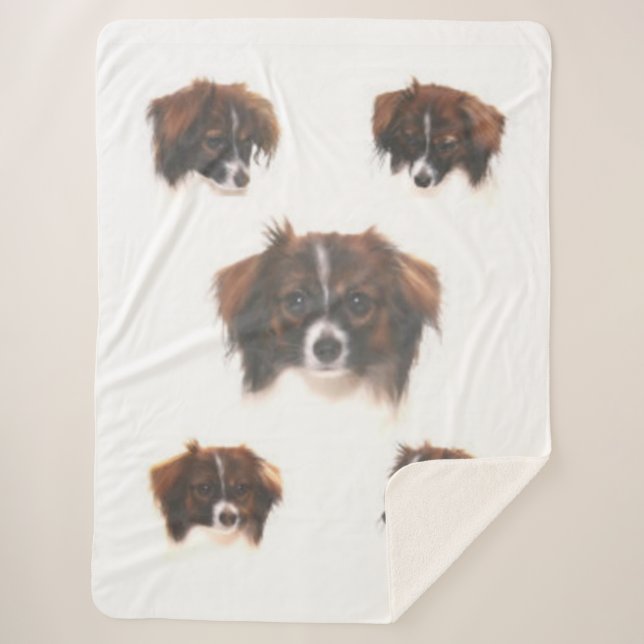 The PHALENE PAPILLON Sherpa Blanket (Front)