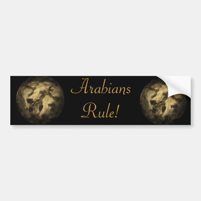 The Pharoah's Horses Bumper Sticker (Front)