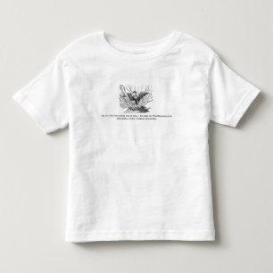 The Phoenix rising from his ashes Toddler T-Shirt