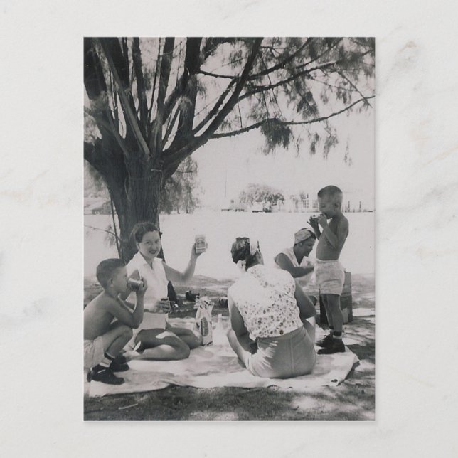 THE PICNIC #25 POSTCARD (Front)