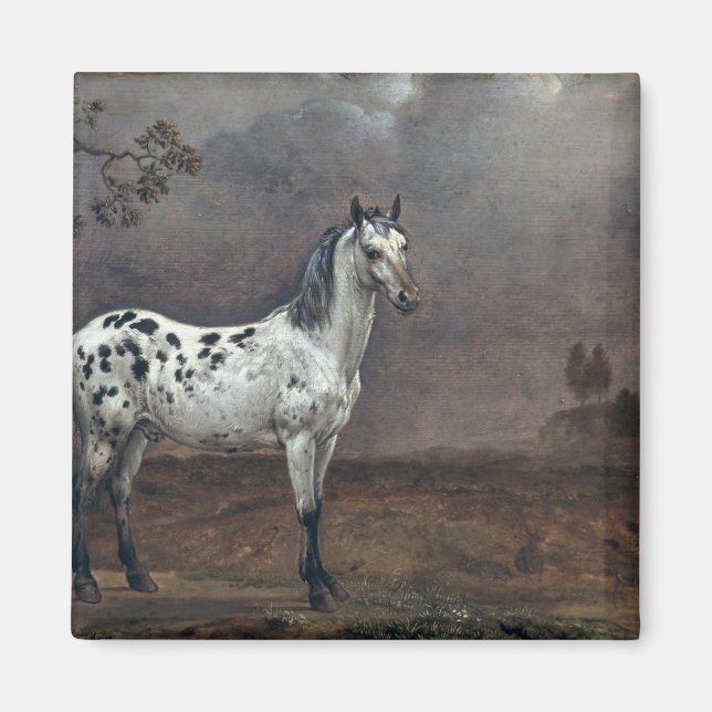 The Piebald Horse, 1653 Magnet (Front)
