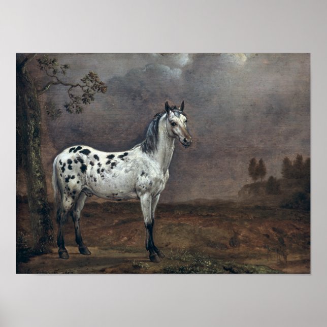 The Piebald Horse, 1653 Poster (Front)