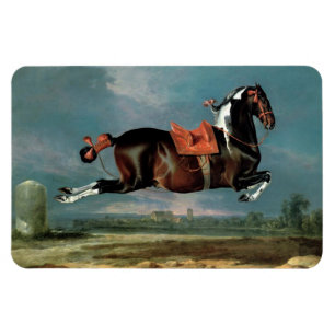The Piebald Horse "Cehero' Rearing Monogram Magnet