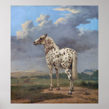 The Piebald Horse
