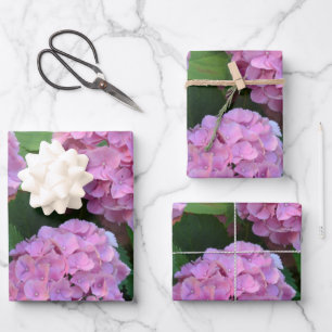 The pink Hortensia hydrangea bush   Wrapping Paper Sheet