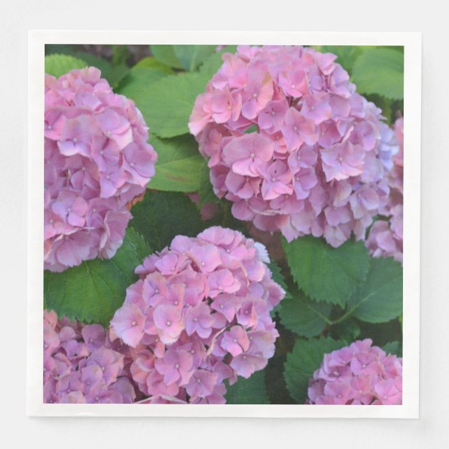 The pink Hortensia hydrangea Party   Napkin (Front)