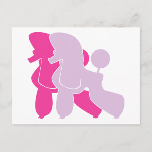 The pink Pudel Postcard