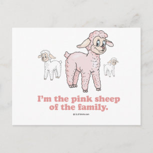 THE PINK SHEEP POSTCARD