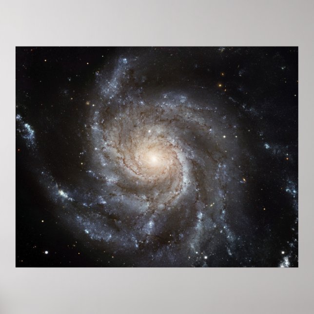 The Pinwheel Galaxy. Poster (Front)