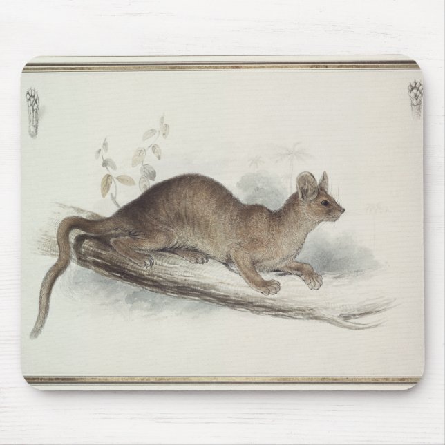 The Polecat, 19th century Mouse Pad (Front)