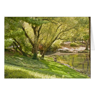 The Pond - Central Park NYC