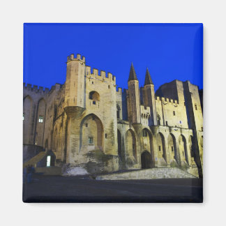 The Pope's Palace in Avignon at sunset. Built 2 Magnet