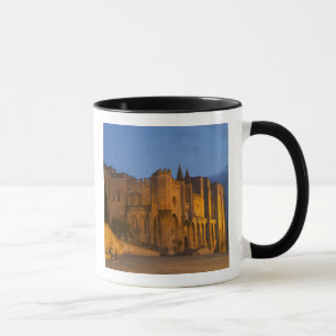 The Pope's Palace in Avignon at sunset. Built Mug