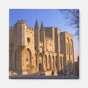 The Pope's Palace in Avignon with people Magnet
